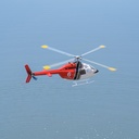 1753491-5.jpg