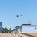 1841859-4.jpg