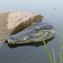 1582729-7.jpg