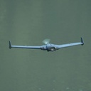 1175537-10.jpg