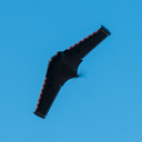 1756841-9.png