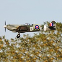1795139-4.jpg