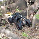 1595136-4.jpg