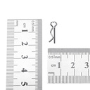 1364905-9.jpg