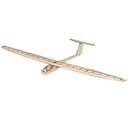 DW Wing Griffin 1550mm Wingspan Balsa Wood RC Airplane KIT